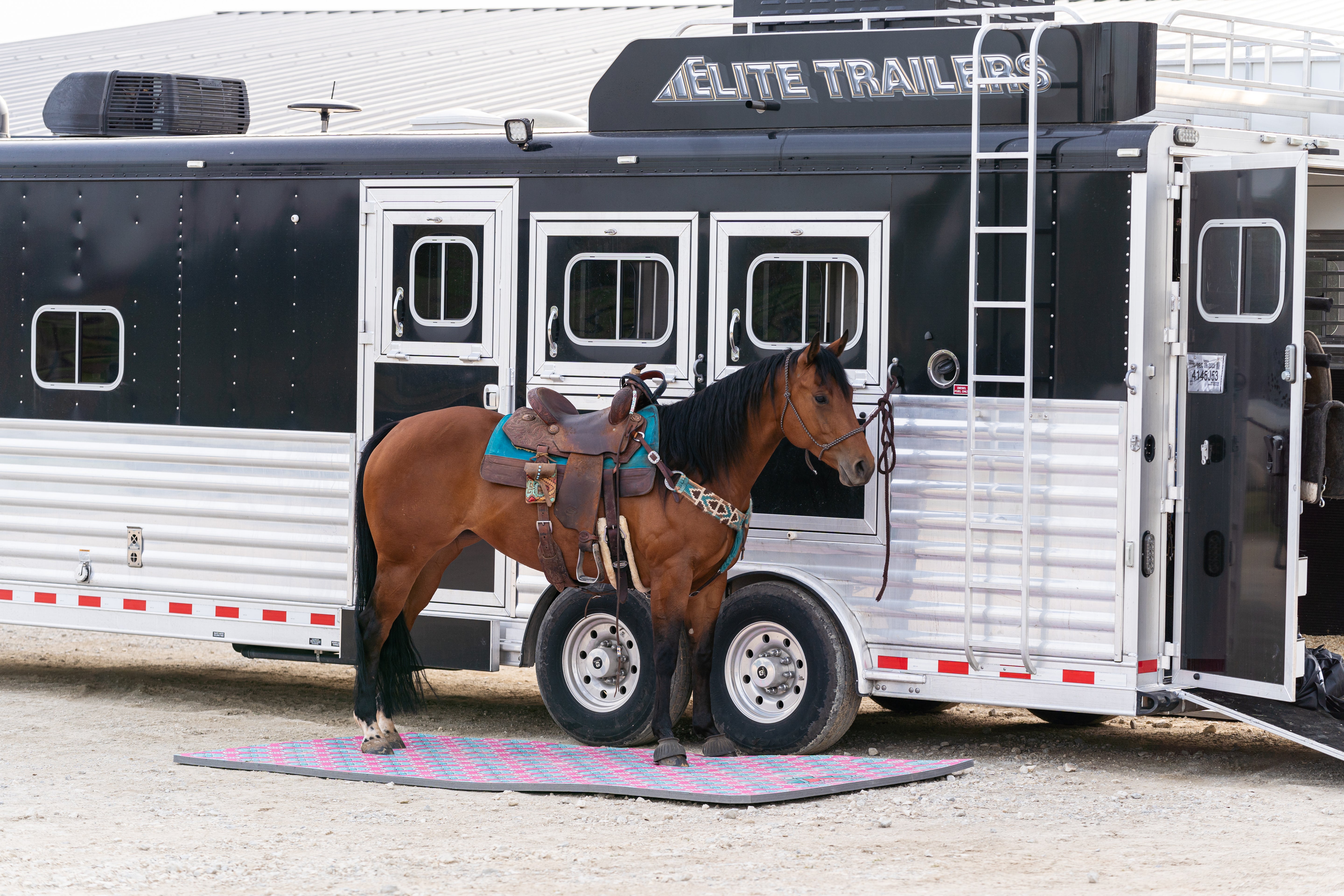 Pink Squash Blossom Design 5x10 Portable Stall Mat – Lightweight Roll-Up Mat for Horse Stalls, Events, and Trailers
