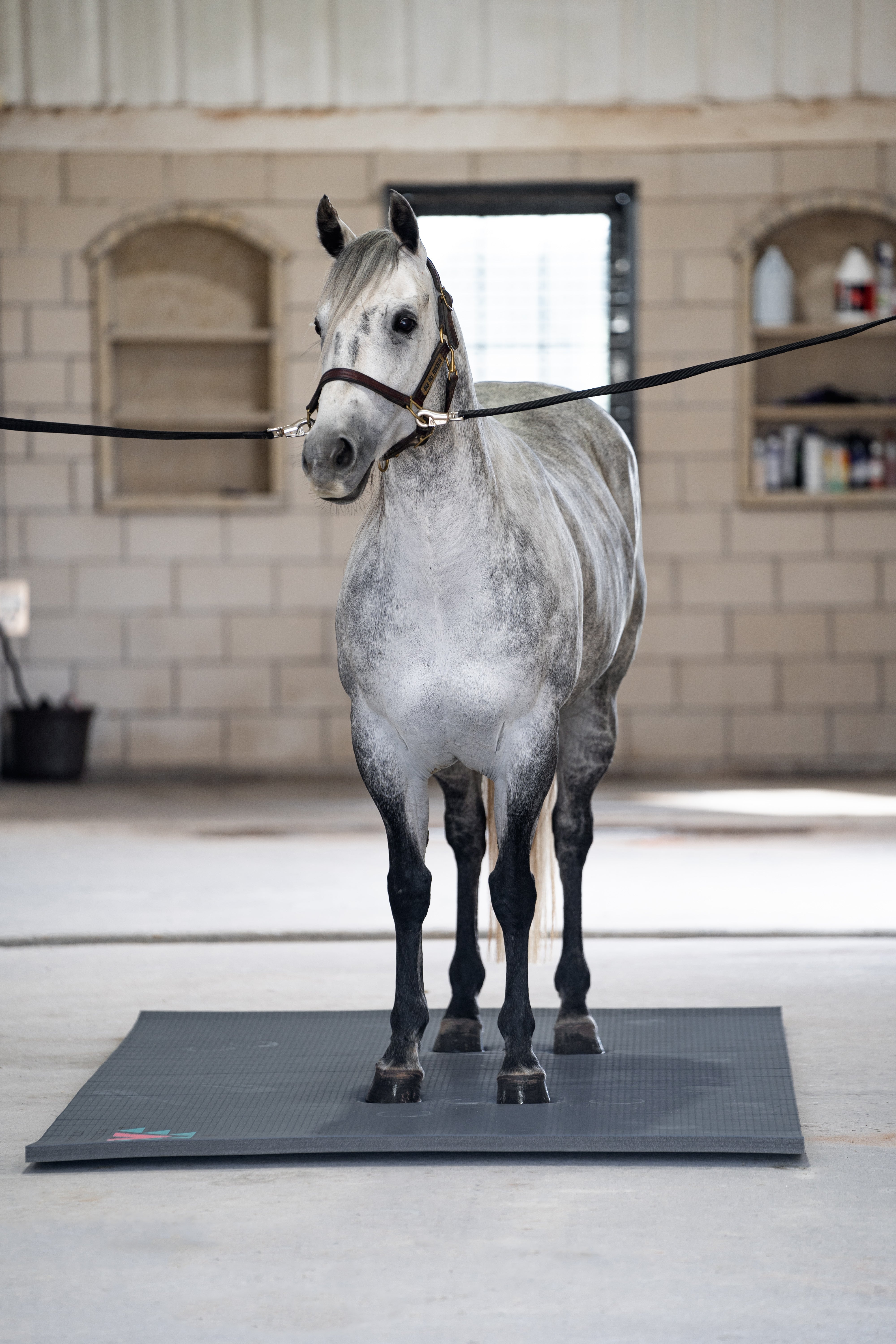 Black 5x10 Portable Stall Mat – Lightweight Roll-Up Mat for Horse Stalls, Events, and Trailers