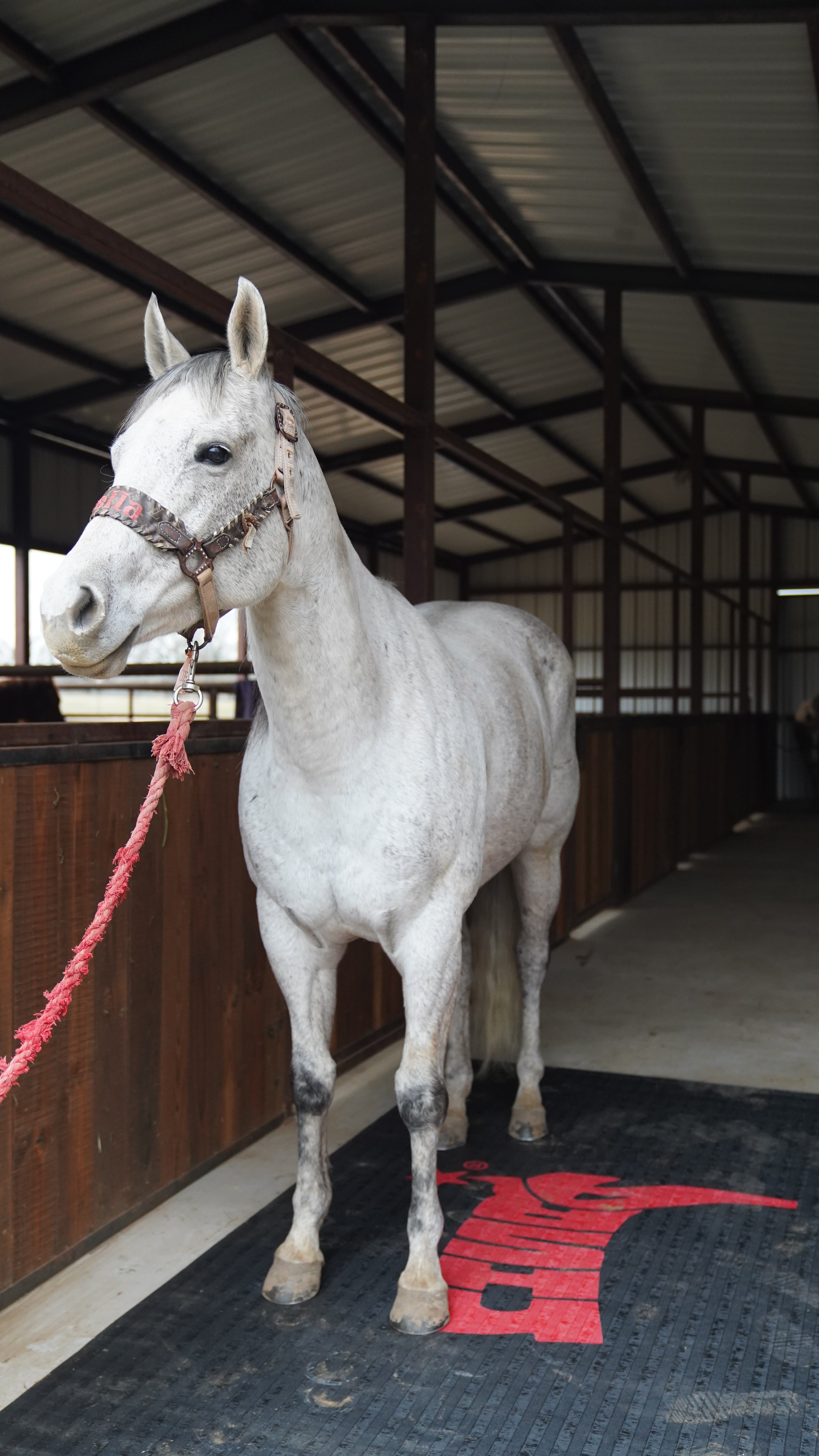 Official NHSRA 5x10 Portable Stall Mat – Lightweight Roll-Up Mat for Horse Stalls, Events, and Trailers