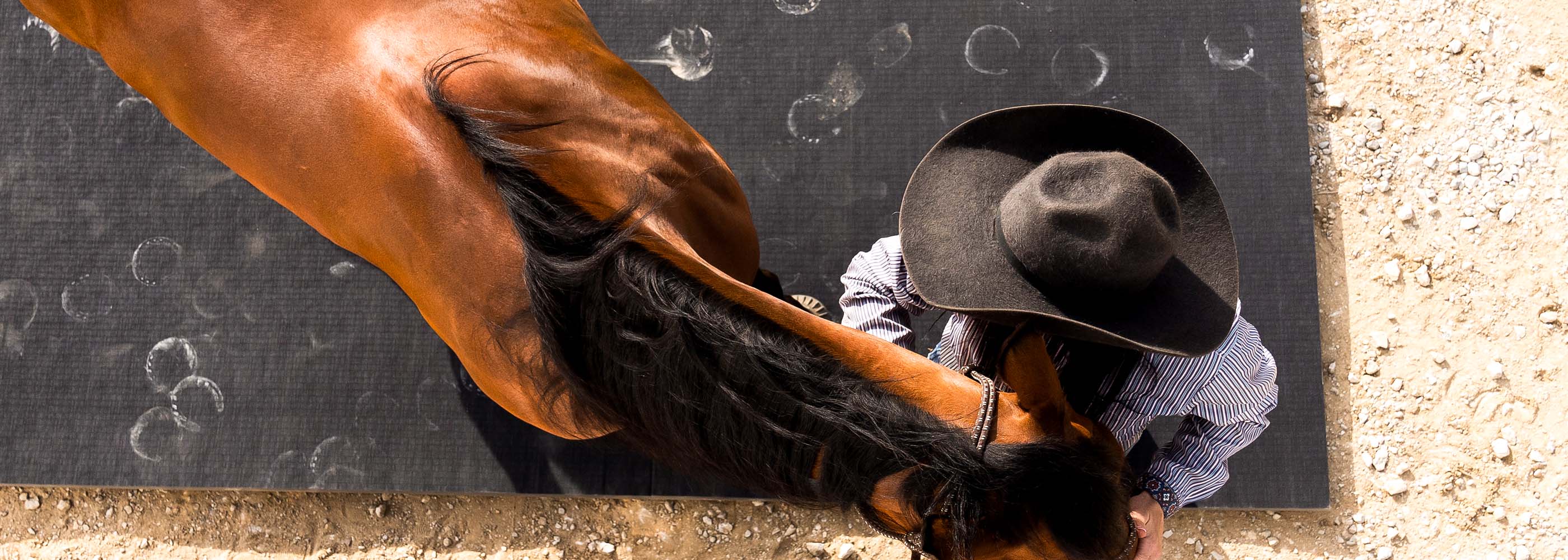 SOUTHEAST XTRAVAGANZA BBR PRE ORDER