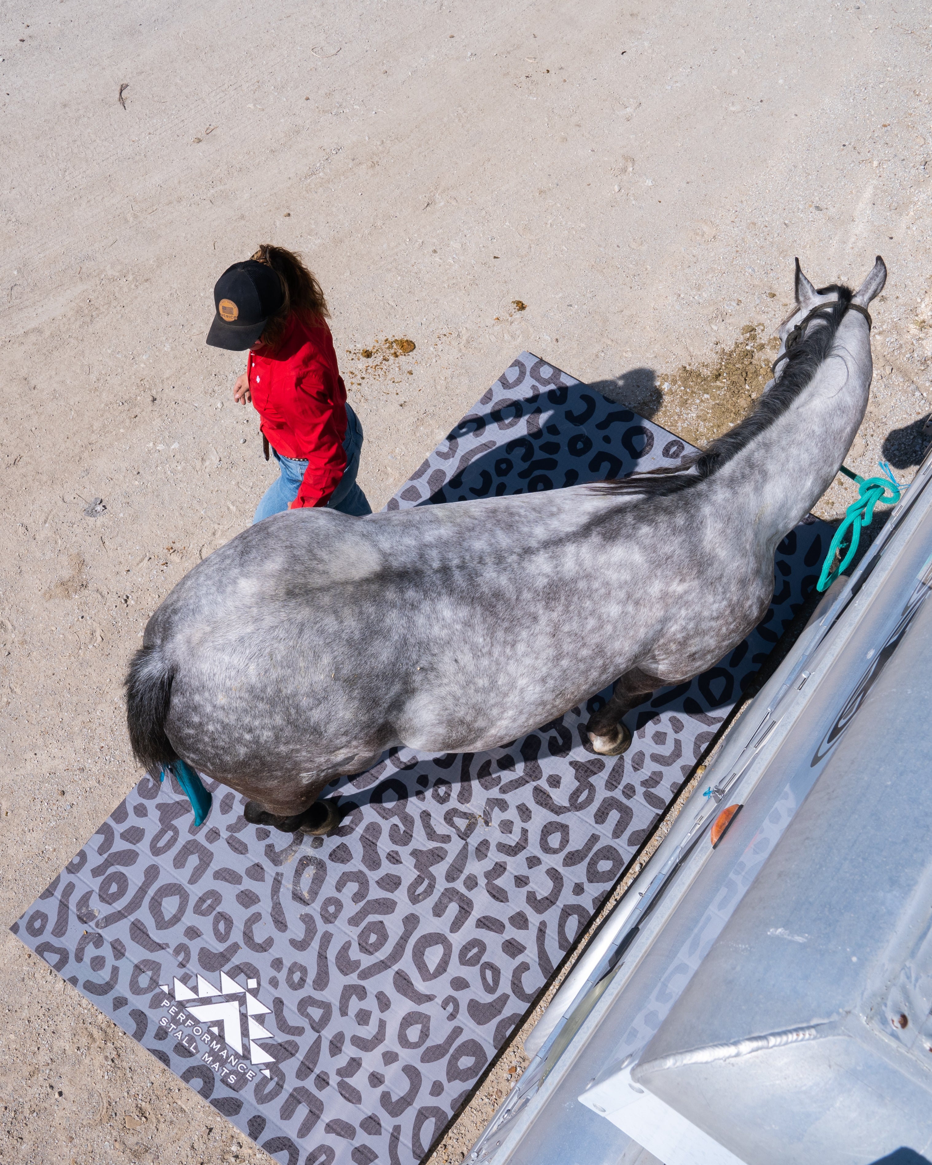 Black Leopard Print Mat With Grey Horse Standing on it