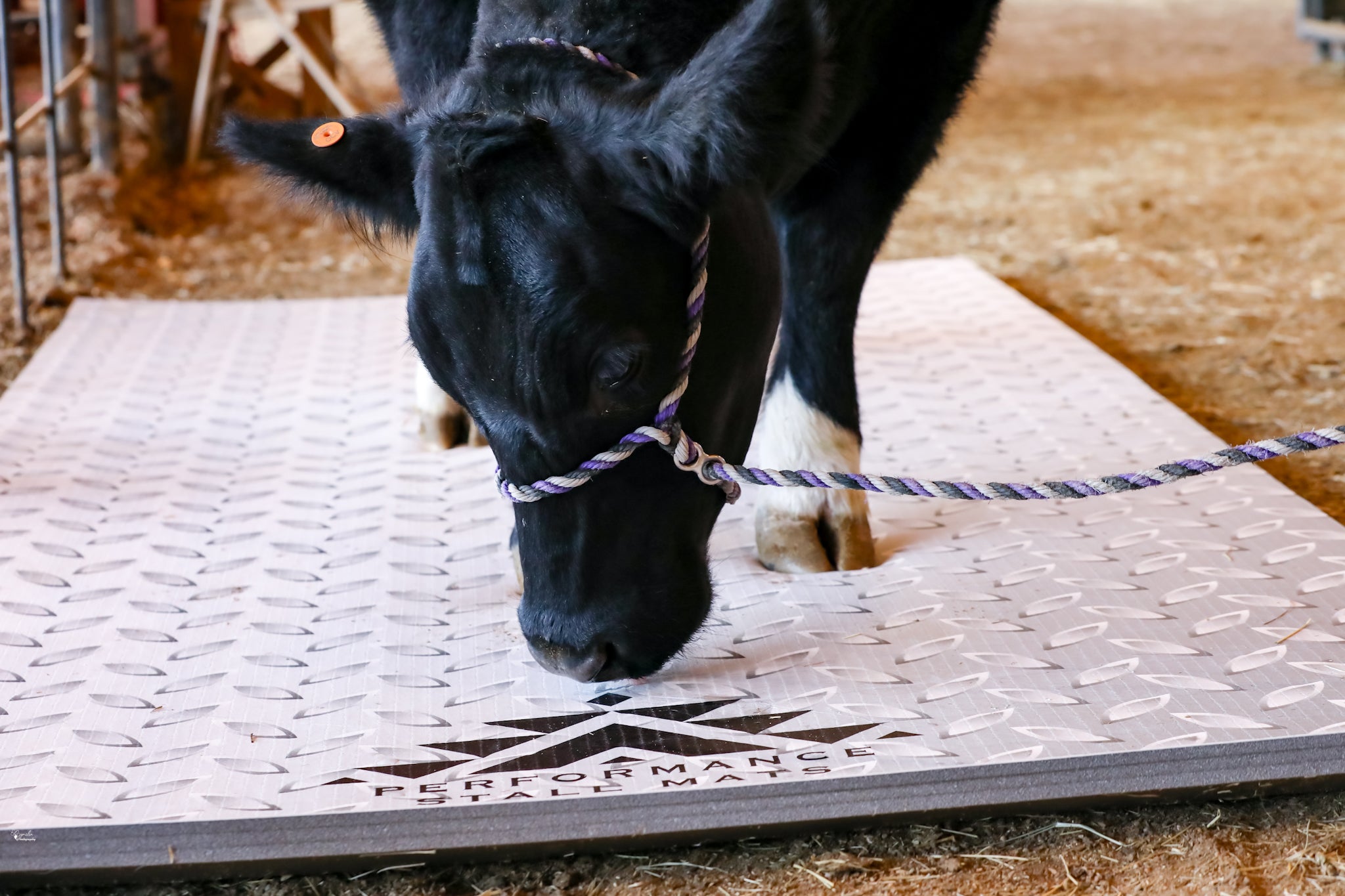 Portable Stall Mat Diamond Plate Design 5x10